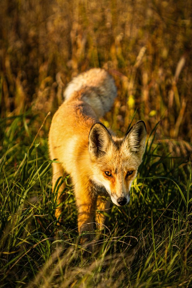 Photograph by Алексей Черников