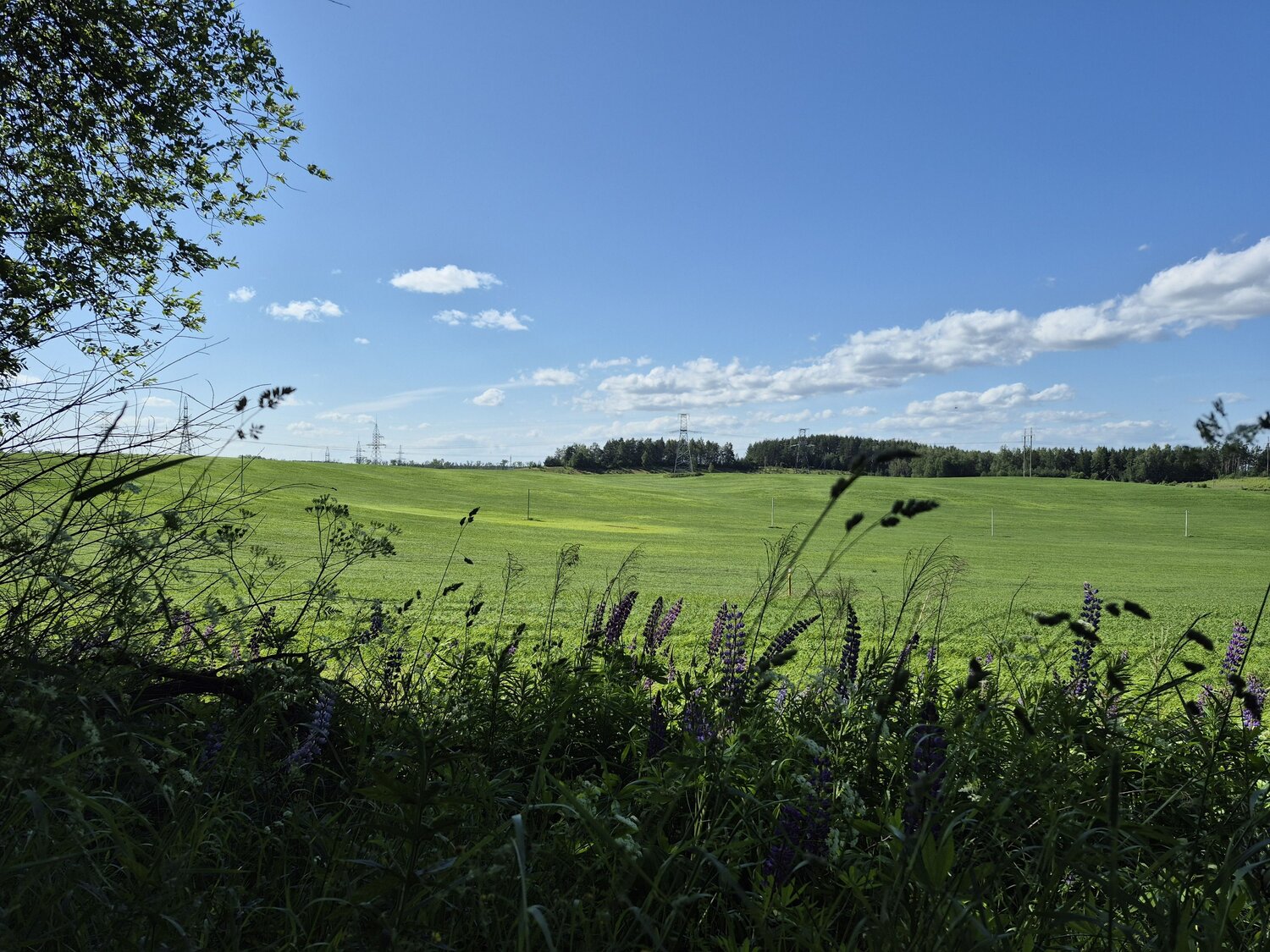 Photo #12534953
