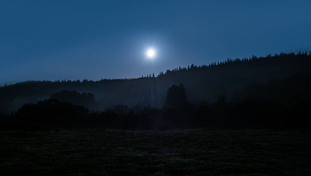 Photograph by Ильдар Шангараев