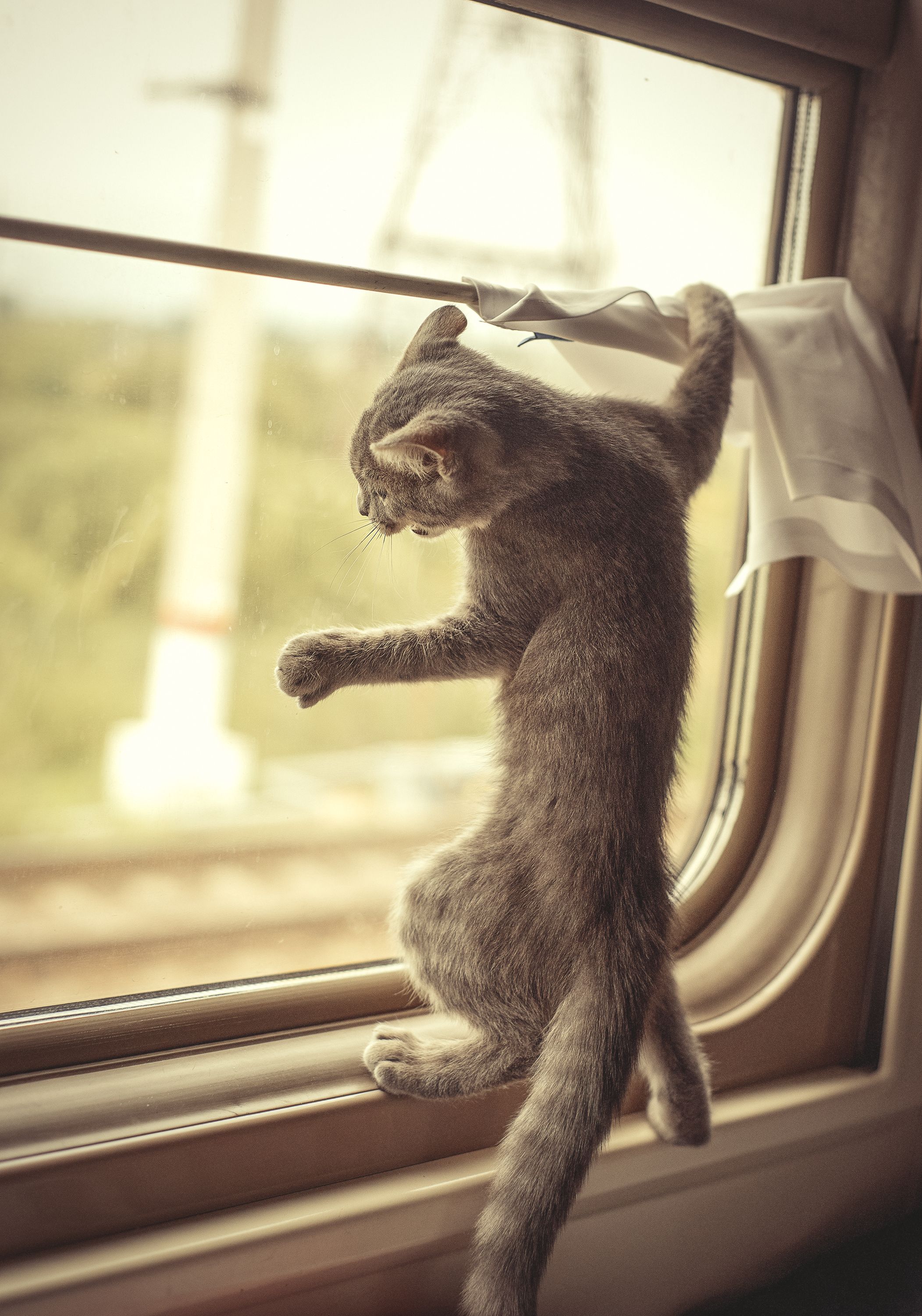 Photograph by Helena Proshkina