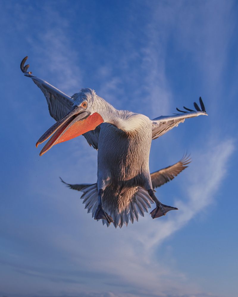 Photograph by Дорн Оксана