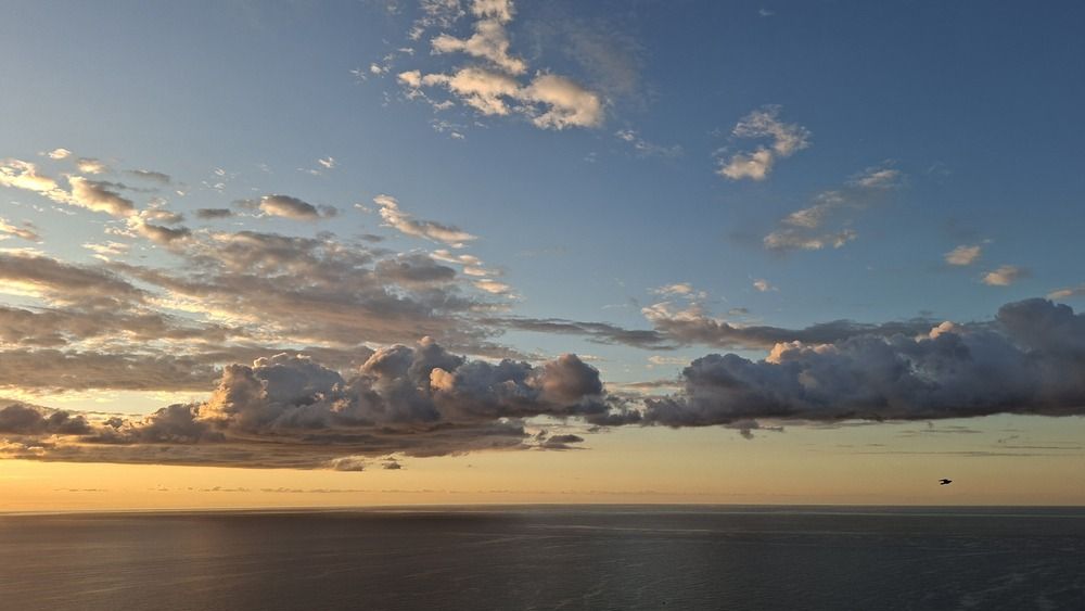 Photograph by Anastasia Kodatenko