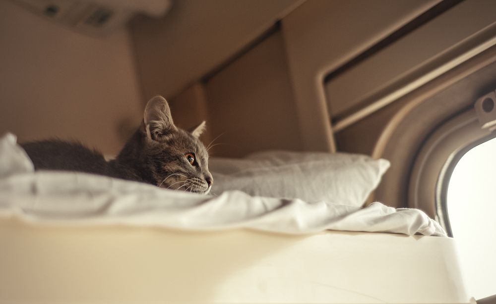 Photograph by Helena Proshkina