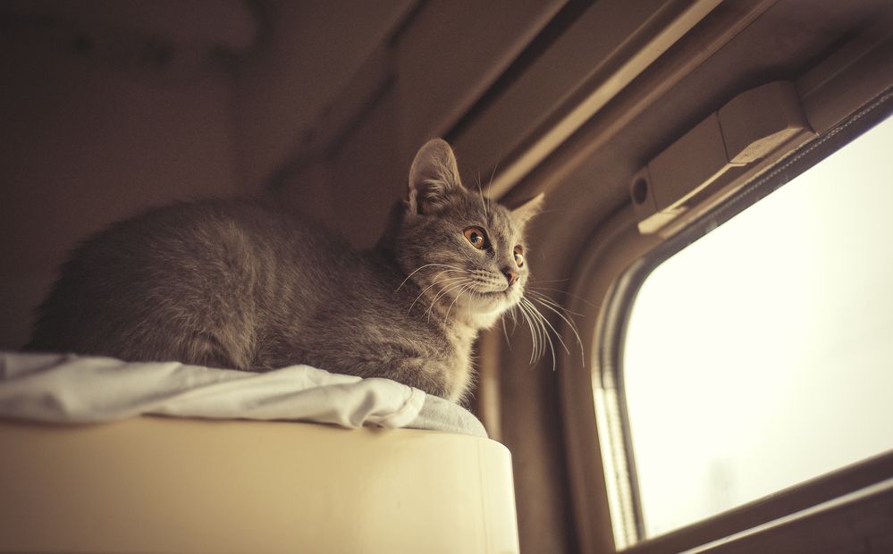 Photograph by Helena Proshkina