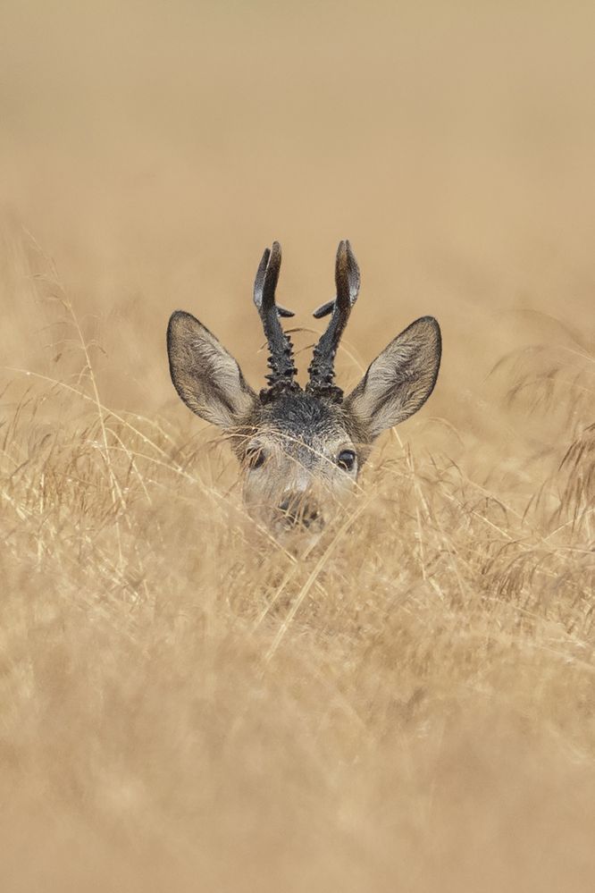 Photograph by Ernestas Balcikonis
