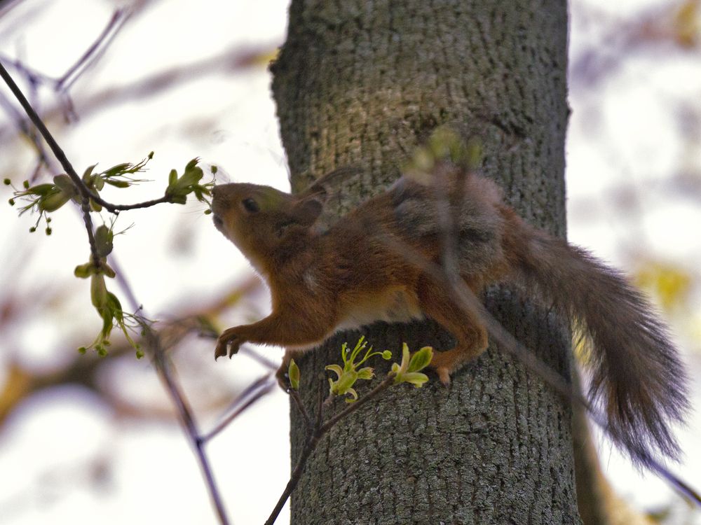 Фотография автора Александра Константинова