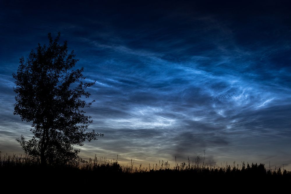 Фотография автора Aamoda Kitchen