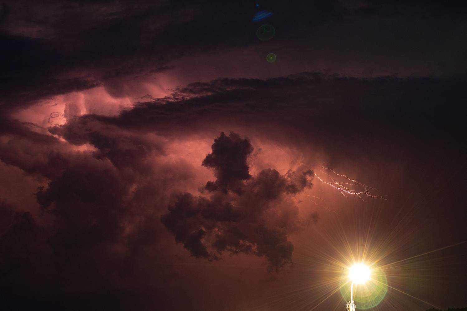 Photo #12535201