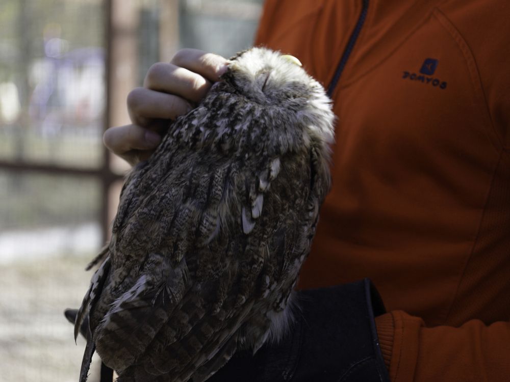 Фотография автора Александра Константинова