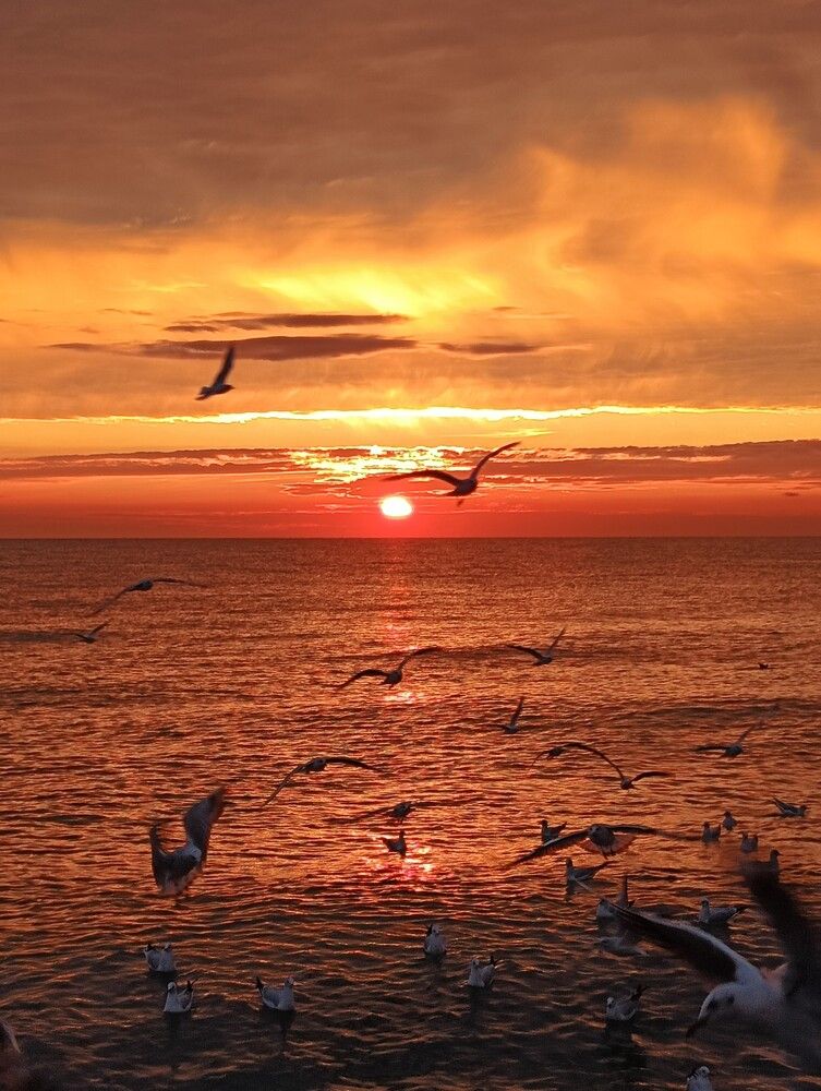 Фотография автора Елена Александрова