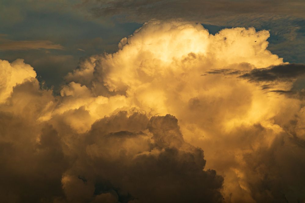 Фотография автора Aamoda Kitchen