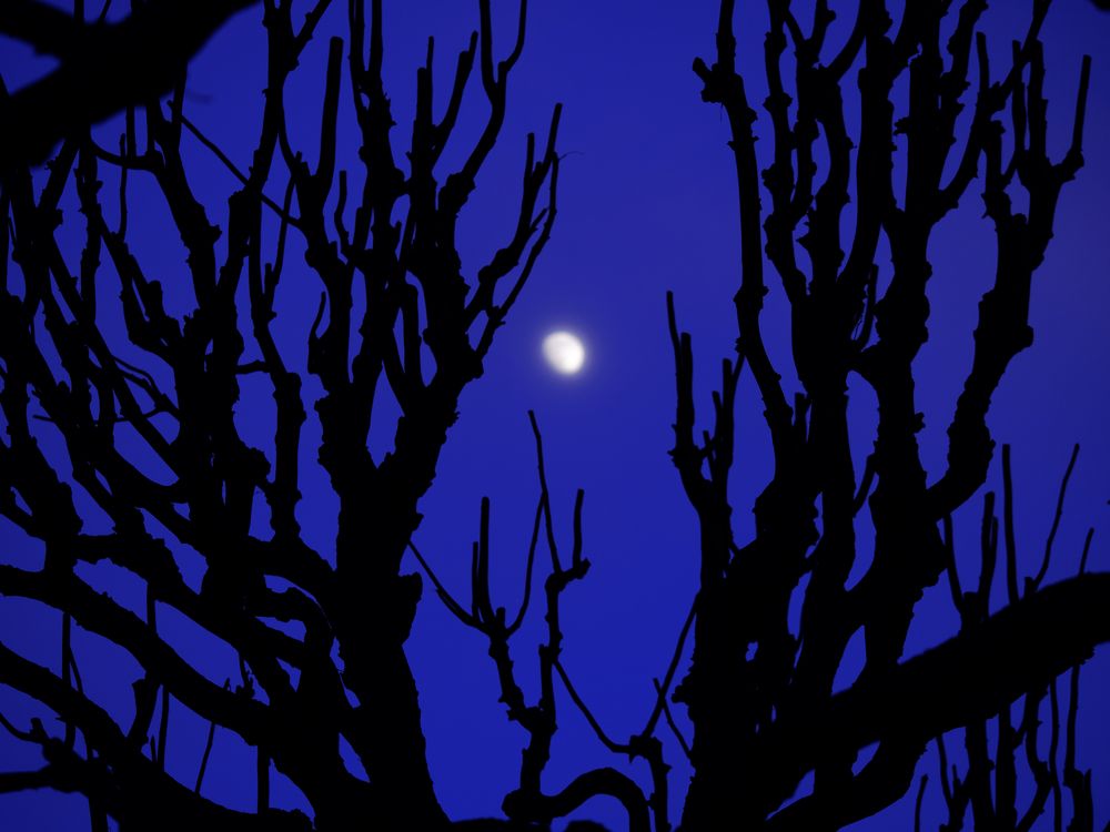 Photograph by Иван Труфанов