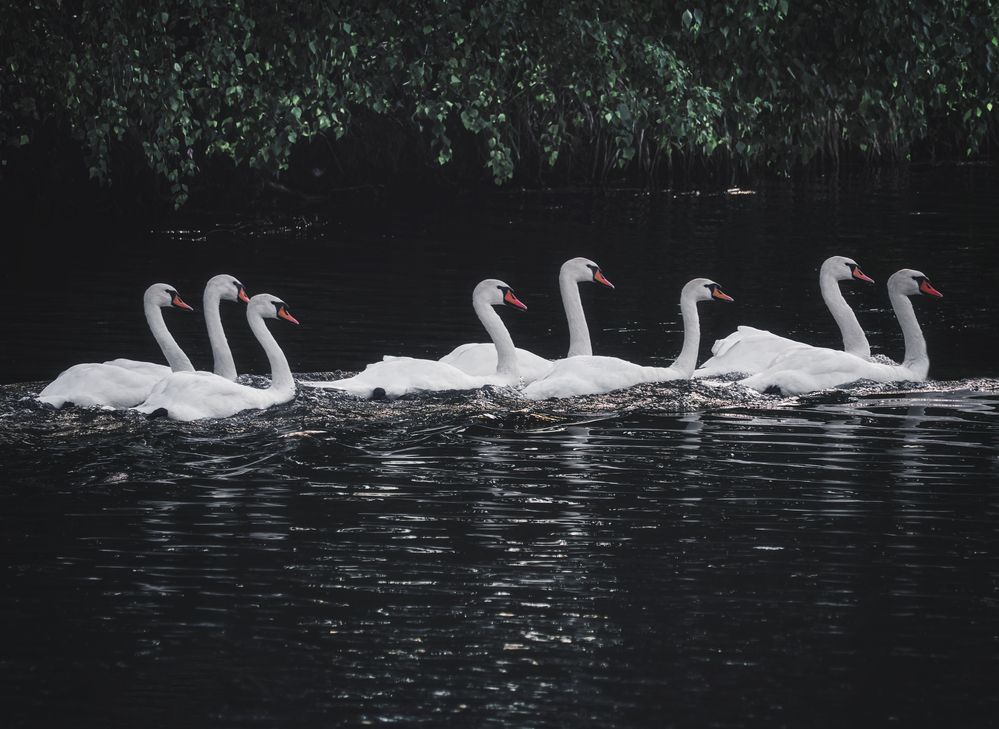 Photograph by Маргарита Смоленская