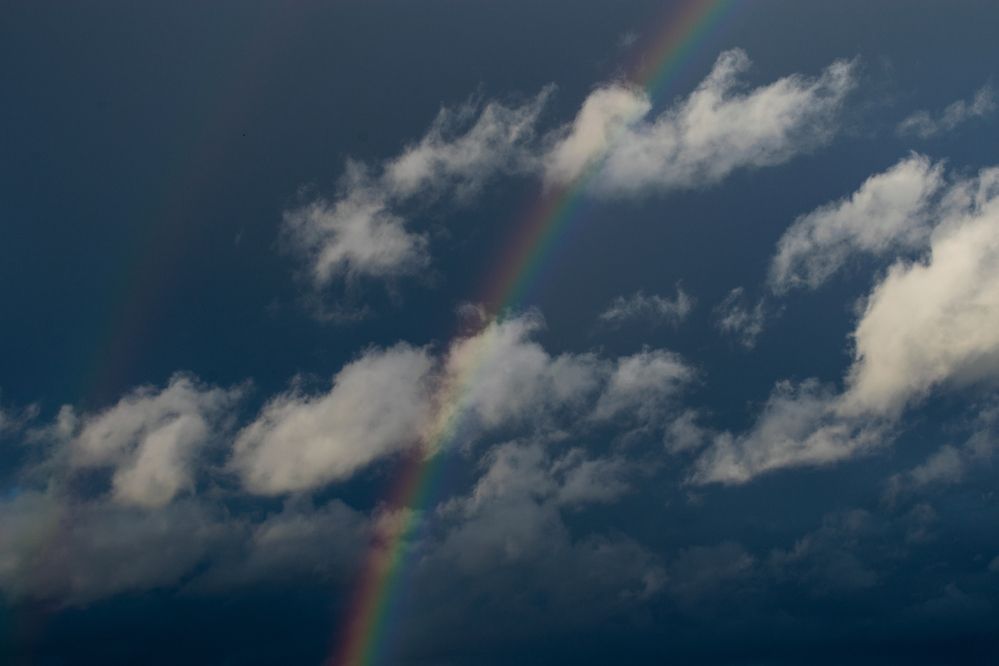 Фотография автора Алексей