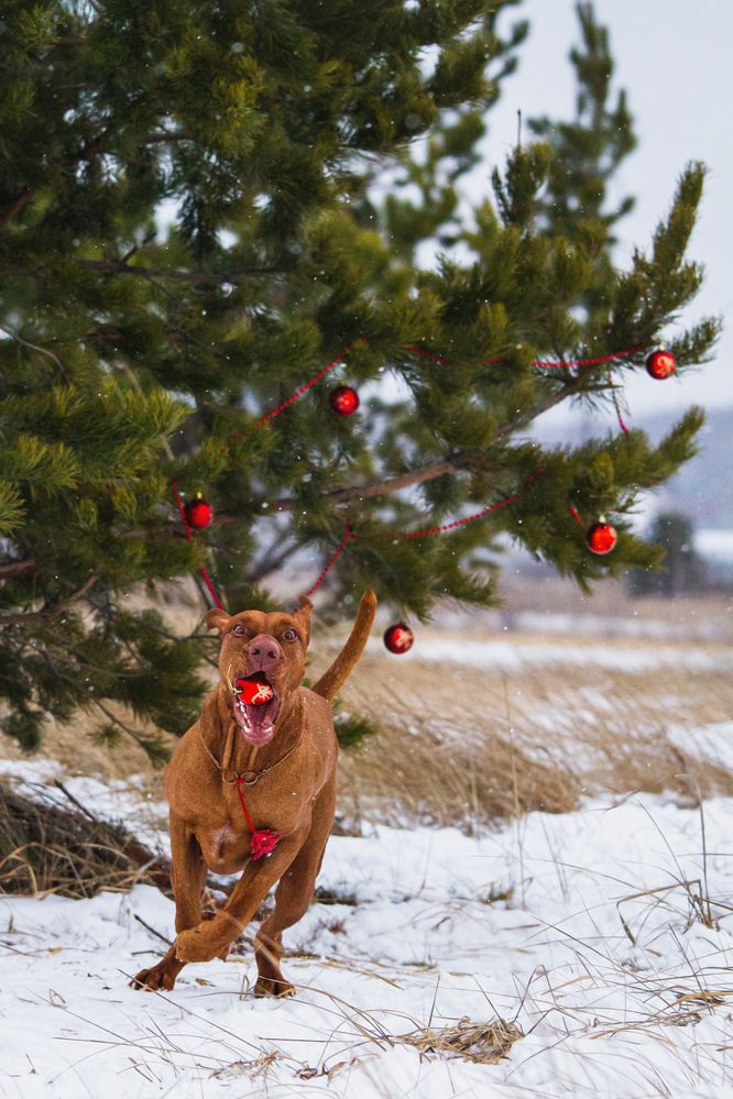 Photograph by Эльнара Исаева