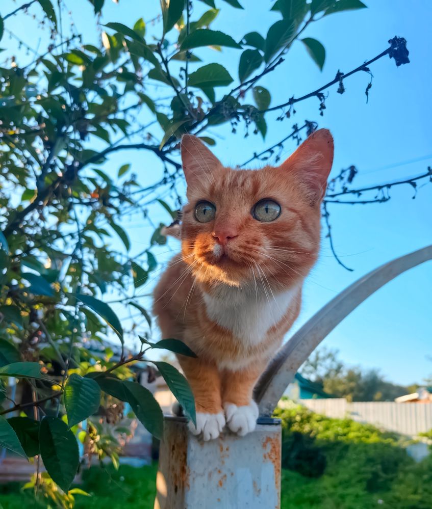 Photograph by Ирина Скворцова
