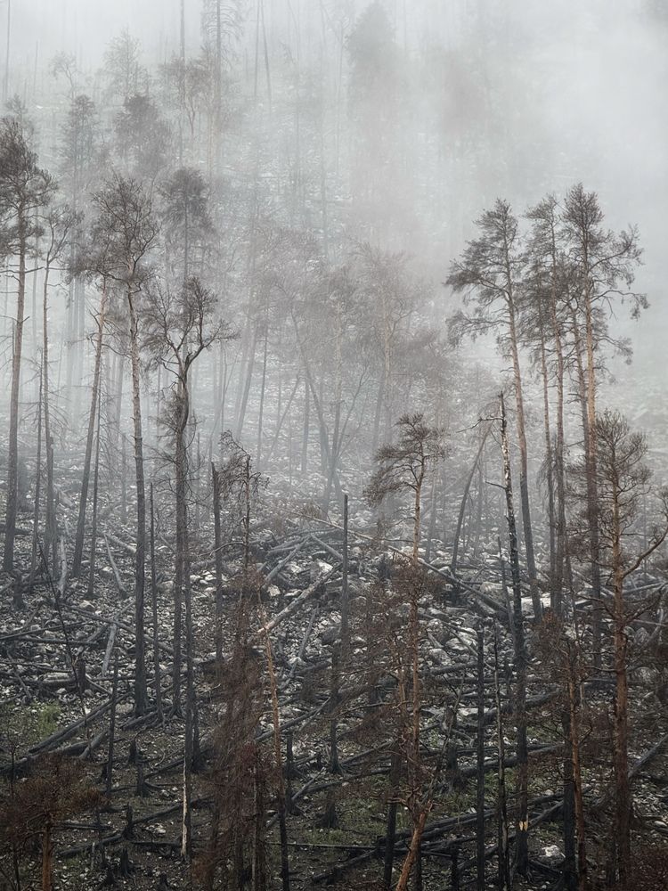 Photograph by Гасан Смирнов