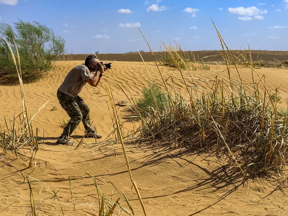Photograph by Алёна Пшеленская