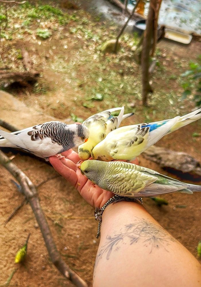 Photograph by Юлия Порфирьева