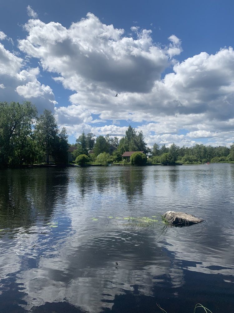 Photograph by Елена