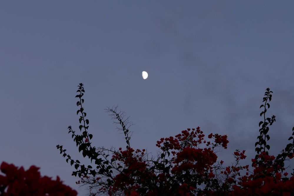 Photograph by Merav Zuberman Perkal