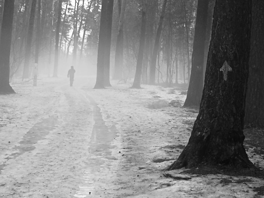 Photograph by Мария Круглова