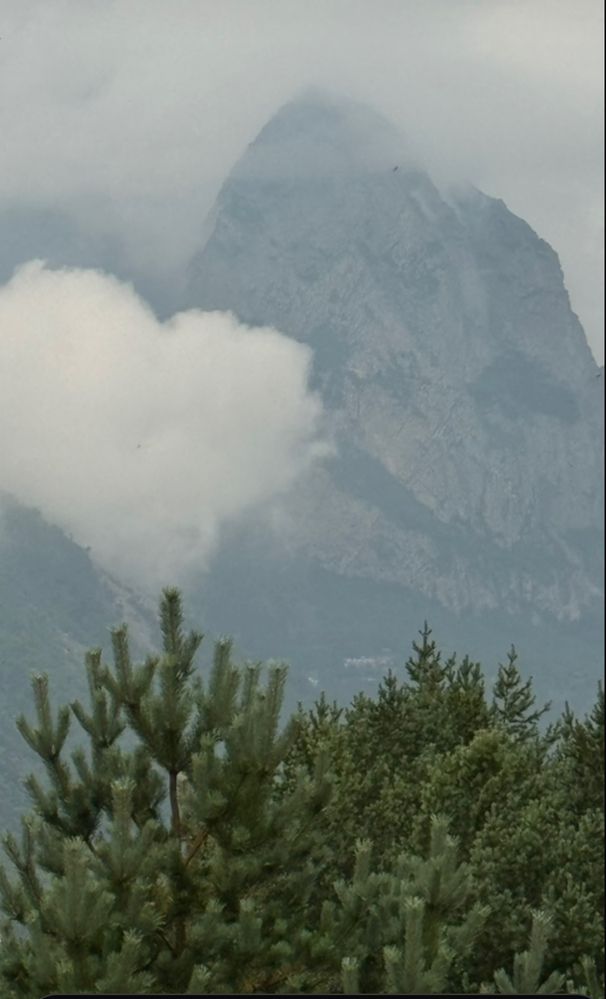 Photograph by Белла