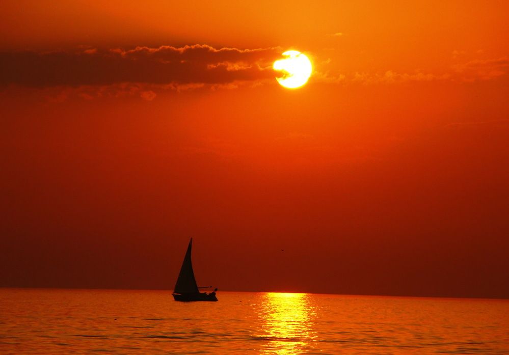 Photograph by Александр Бастраков