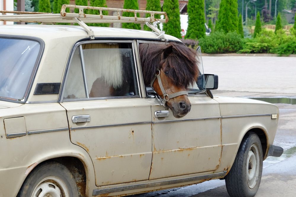 Photograph by Елена Маракулина