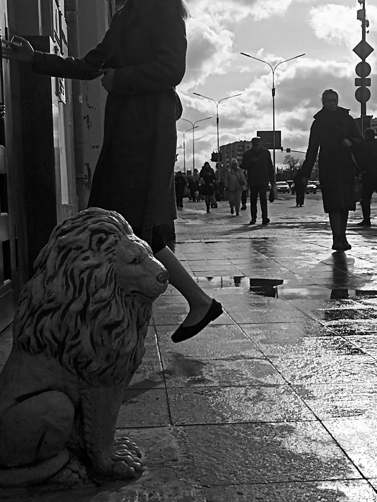 Лев в городе грустит