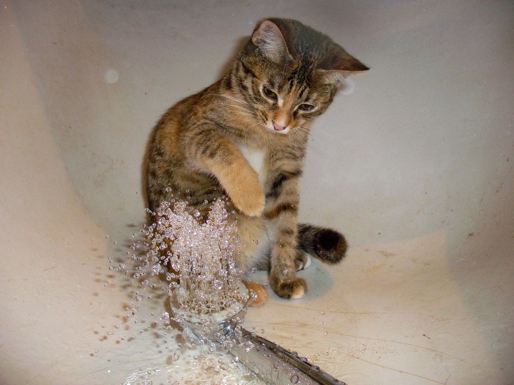 Photograph by Игорь Смирнов