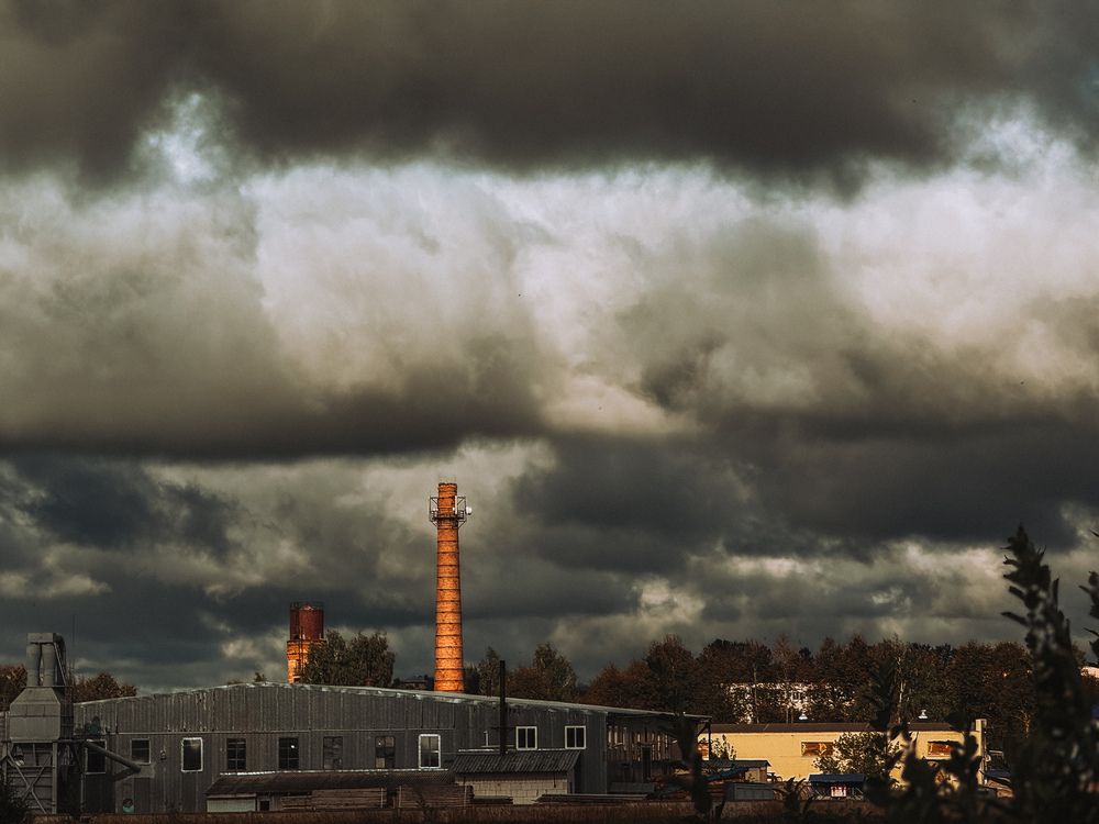 Photograph by Светлана Долганова