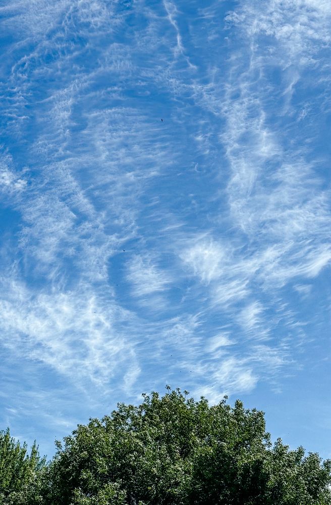 Photograph by Anna Shelutina