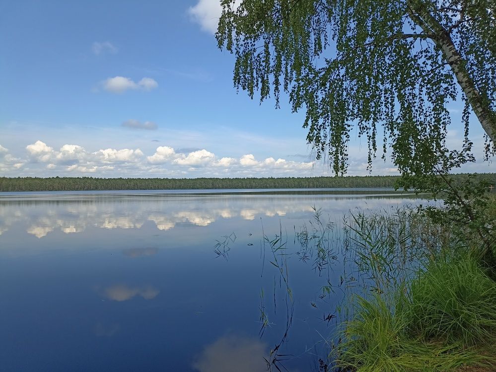 Зеркало