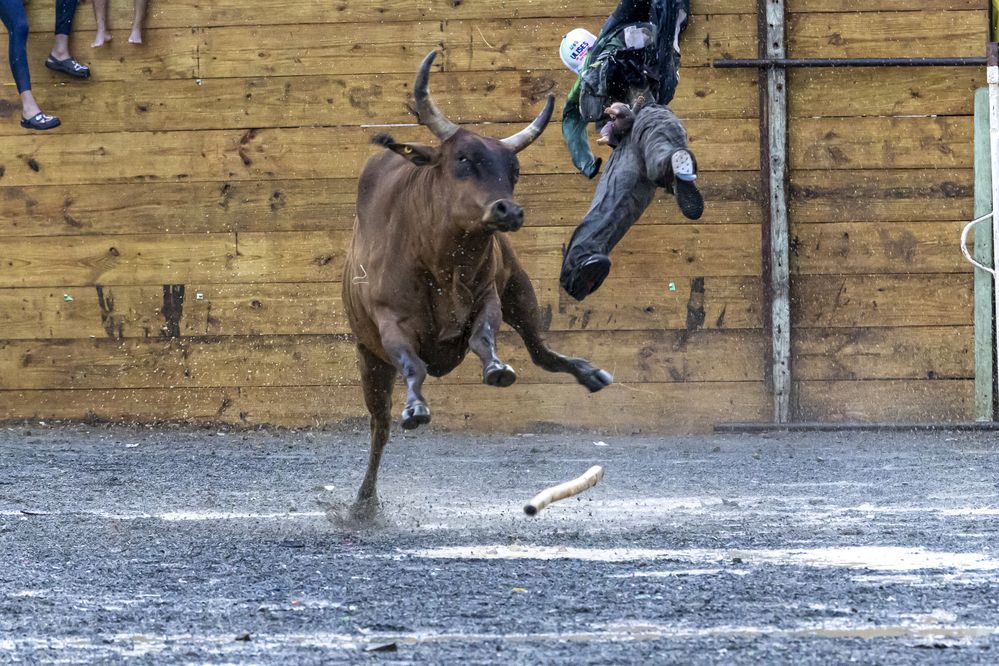 Photograph by Eddy Vittini