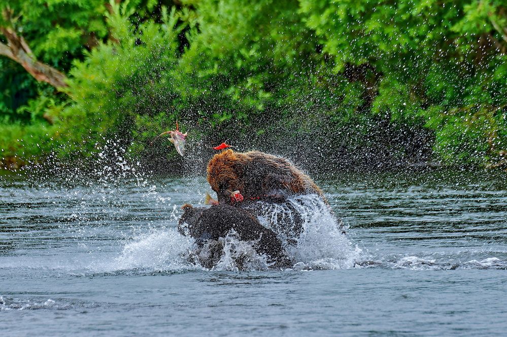 Photograph by михаил скворцов