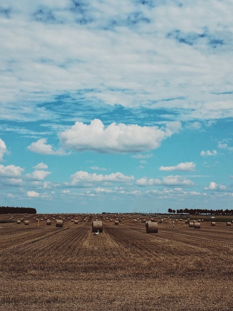 Photograph by Liudmila Pilets