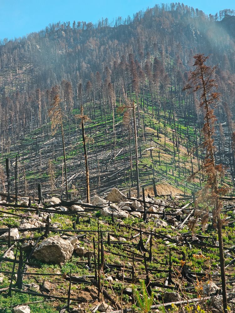 Photograph by Irina Chka