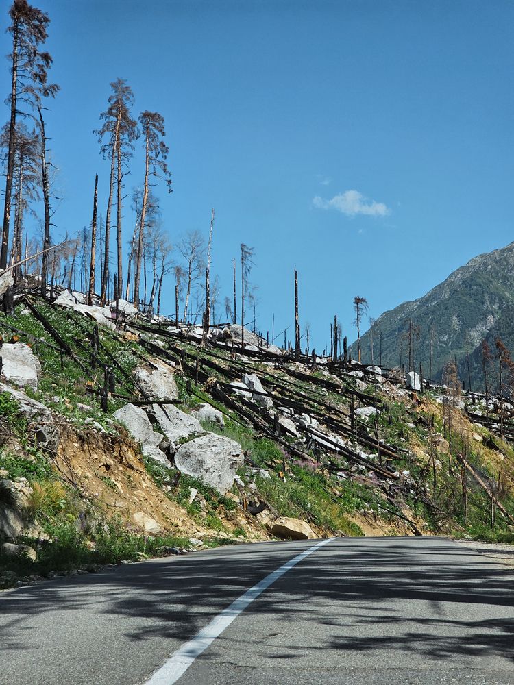 Photograph by Irina Chka