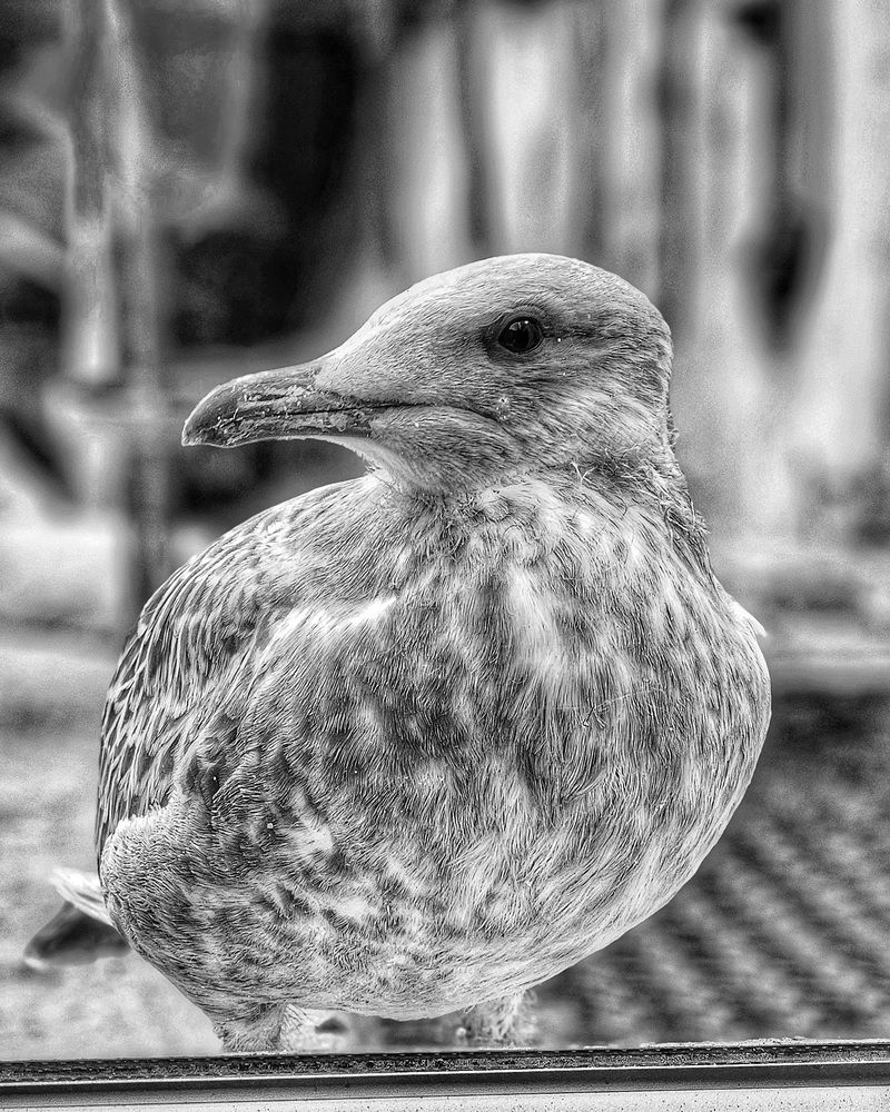 Photograph by Александра Кропивка