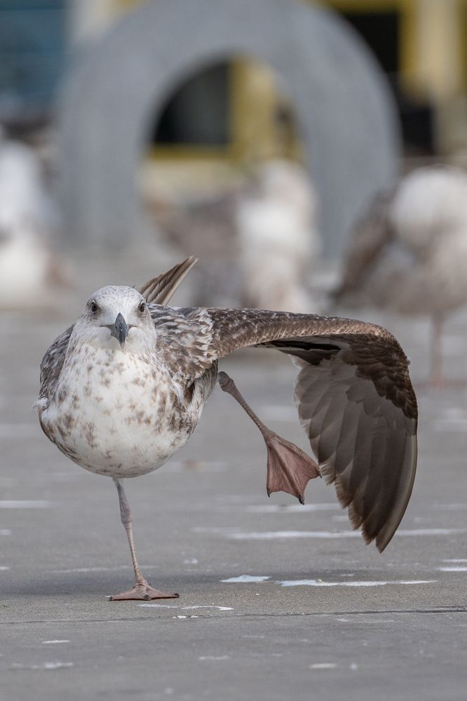 Photograph by David Dores