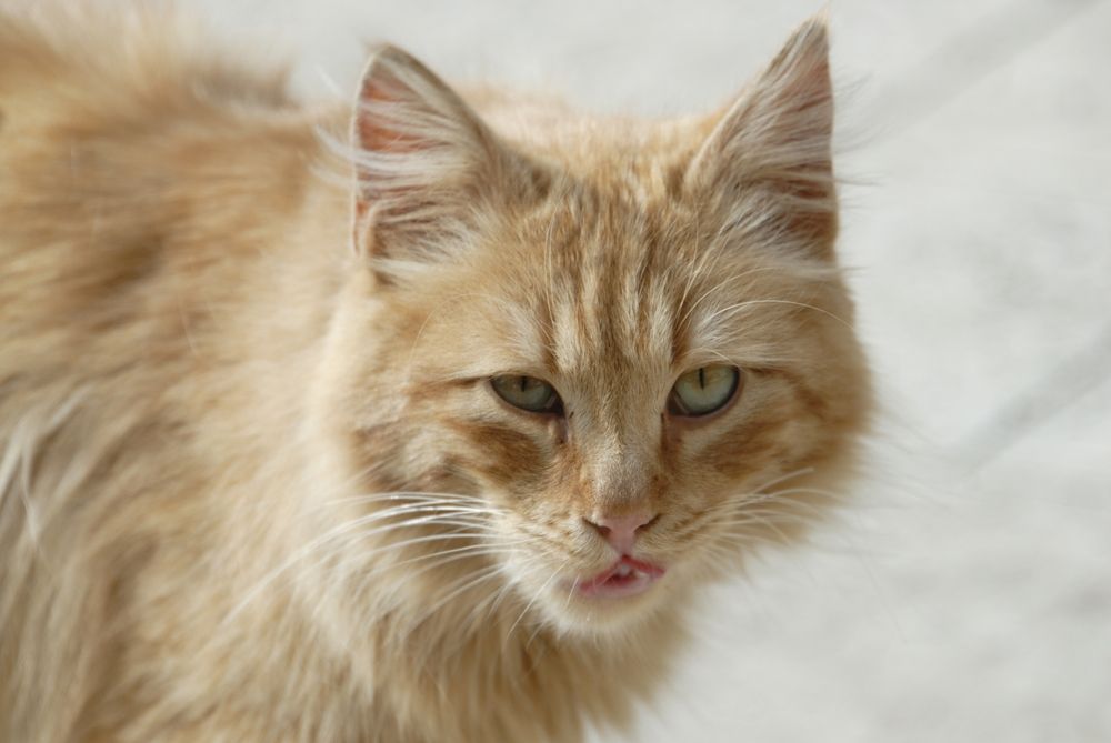 Na wie wäre es.....