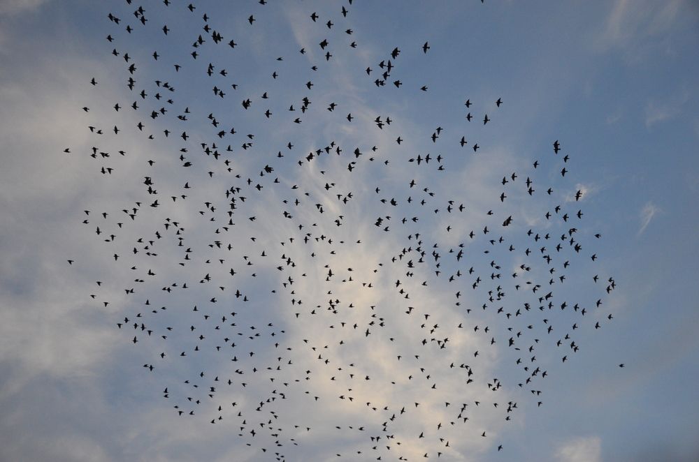 Photograph by Константин