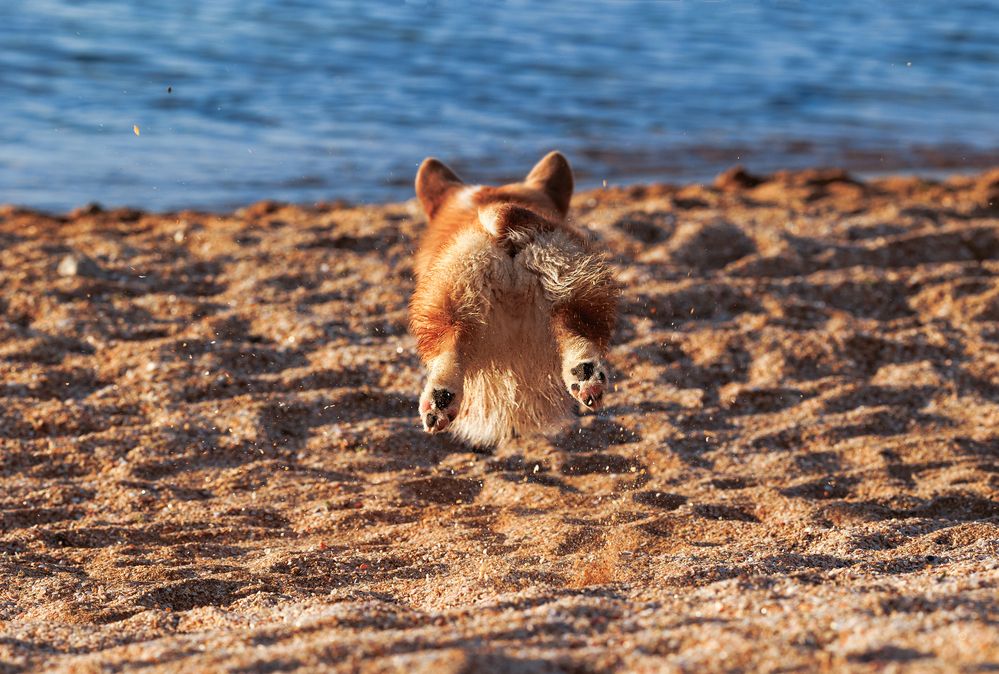 Photograph by Наталья Кирина