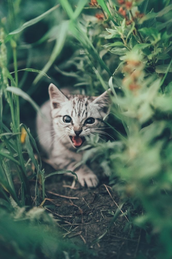 Photograph by Владимир Ткачёв