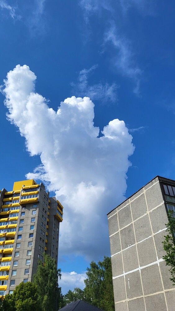 Photograph by Dmitrij Zykunov