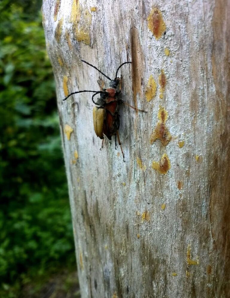 Photograph by Dmitrij Zykunov