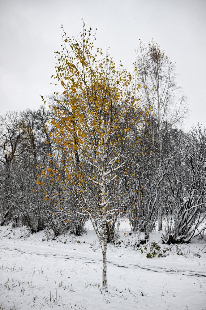 Photograph by Максим Савин