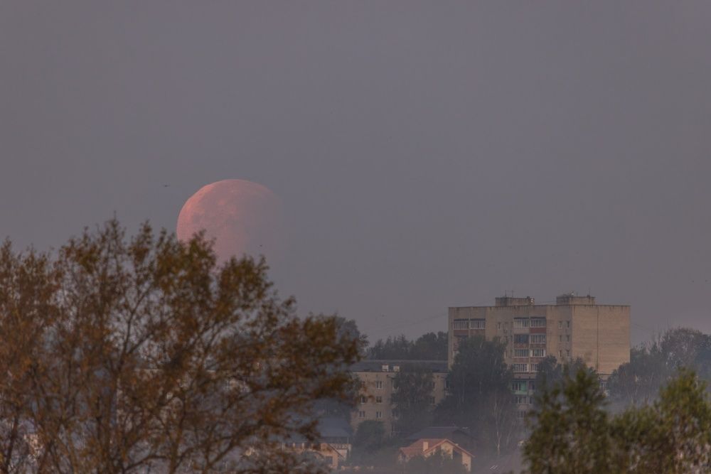 Photograph by Хабаров Сергей