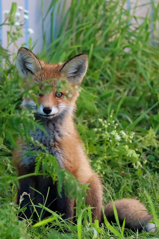 Photograph by Александр Селезнев